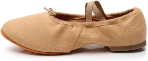 AOQUNFS Women's Professional Latin Ballroom Dance Shoes Closed Toe Practice Teaching Shoes for Salsa, Waltz